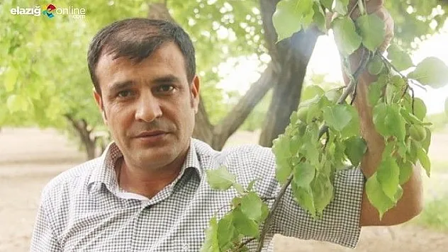 Topraklarımızı bekleyen tehlike Şarka Virüsü