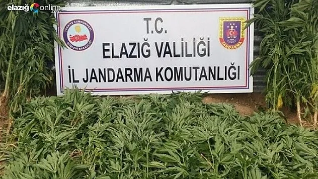 Uyuşturucudan 1 kişi tutuklandı