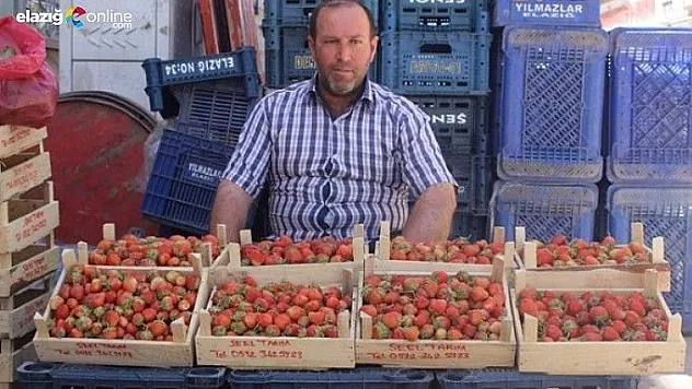 Yerli çilekler cep yakıyor