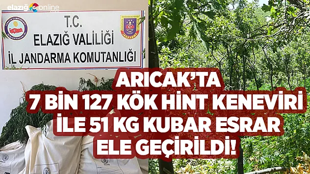 7 bin kök Hint keneviri ve 51 kilo esrar ele geçirildi!