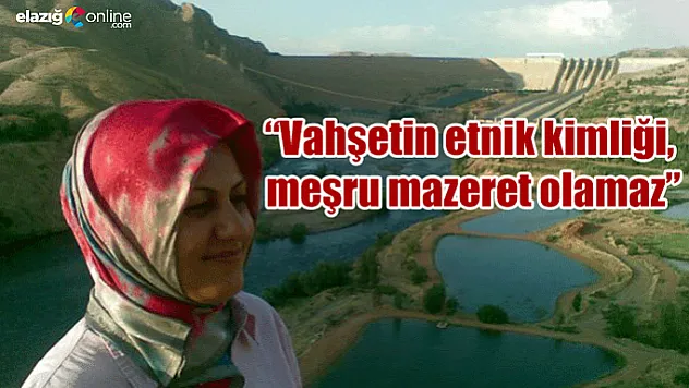 Bir zulümden kaçarken başka zulme yakalandılar