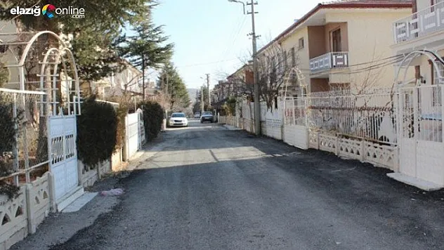 Doğukentlilerin başı yılanlarla dertte!