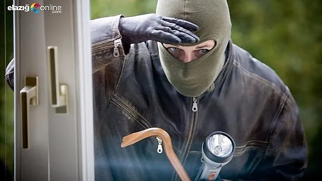 Elazığ'da çaldı, Bingöl'de yakalandı