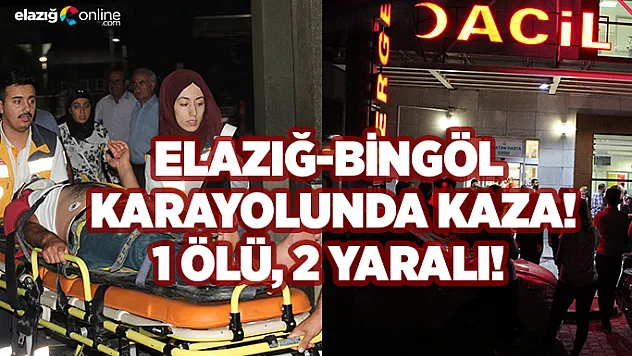 Elazığ-Bingöl Karayolunda Kaza!