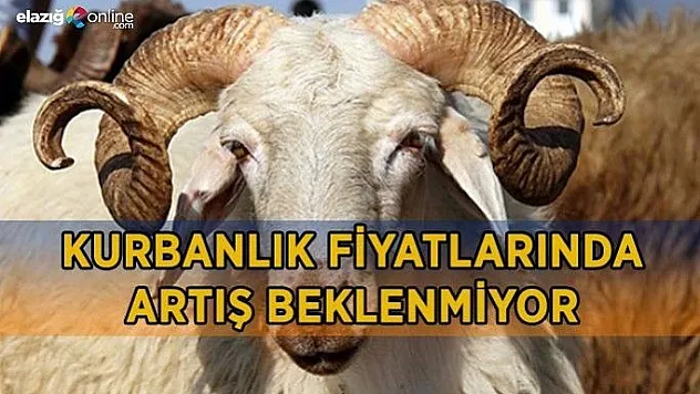 Kurbanlık fiyatlarında artış beklenmiyor