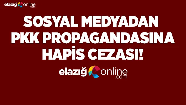 Örgüt propagandasına 3 yıl 9 ay hapis cezası!