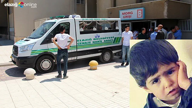 5 yaşındaki Ahmet'i erik öldürdü