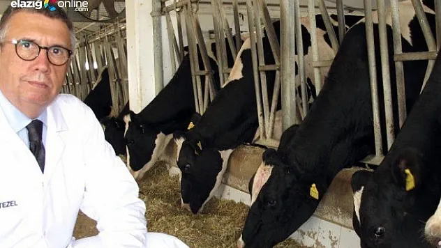 'Bayramda dişi hayvan kesmeyin' uyarısı!