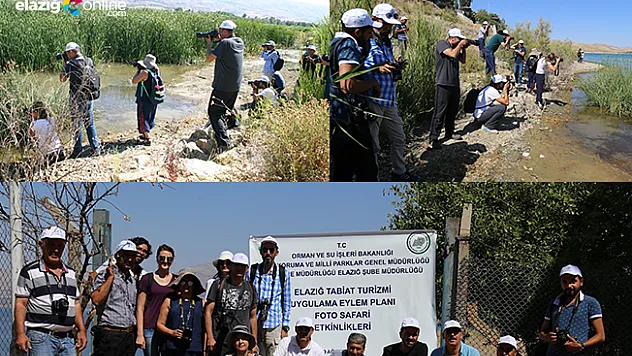 Elazığ'da FOTOSAFARİ!