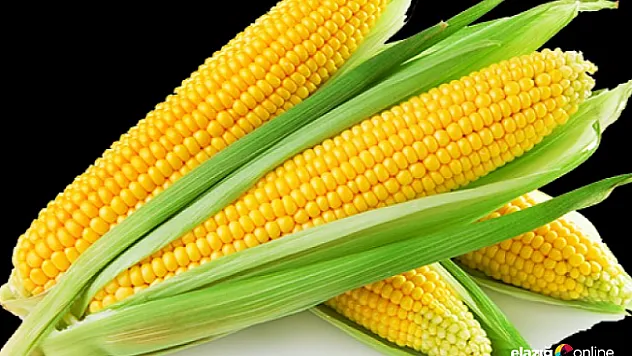 Her gün bir adet bile yerseniz...