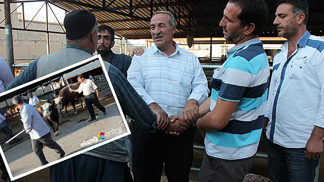 Pazarlıklar Kızıştı!