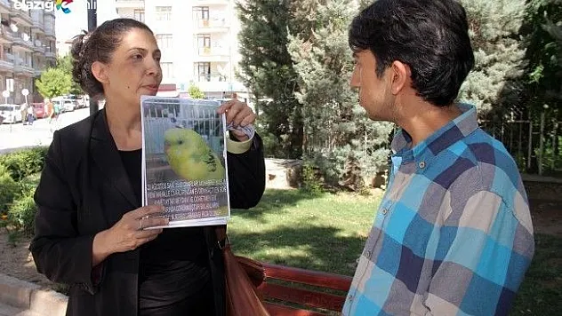 Ponçik'i buluna 100 kuş hediye!