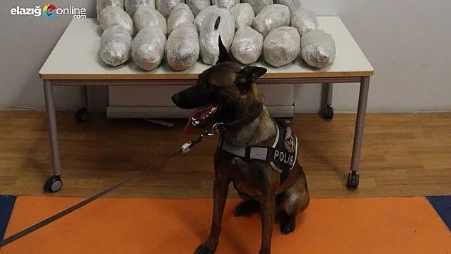 Tamponda 17 kilo 830 gram uyuşturucu