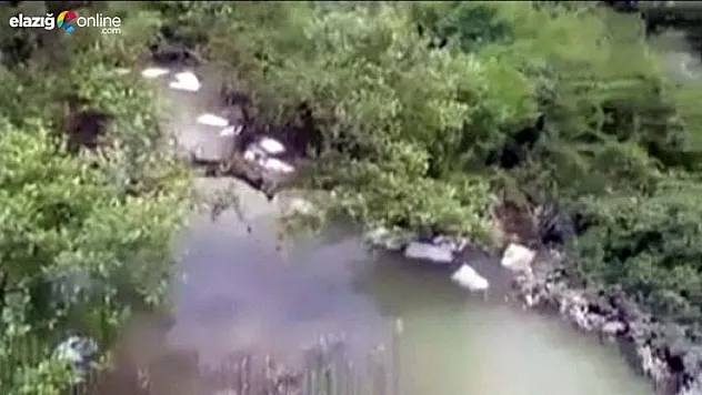 Arakan'dan korkunç görüntü!