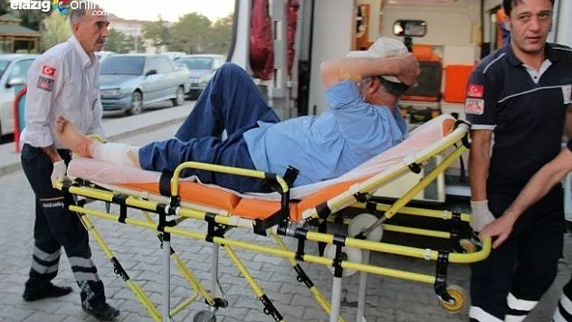 Domuz Yaşlı Adamı Yaraladı!