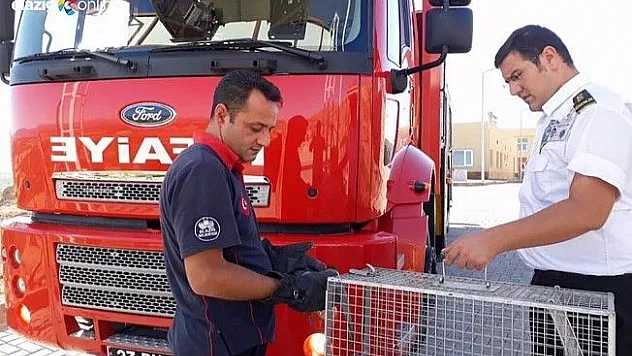 Kanadı kırılan güvercini itfaiye kurtardı