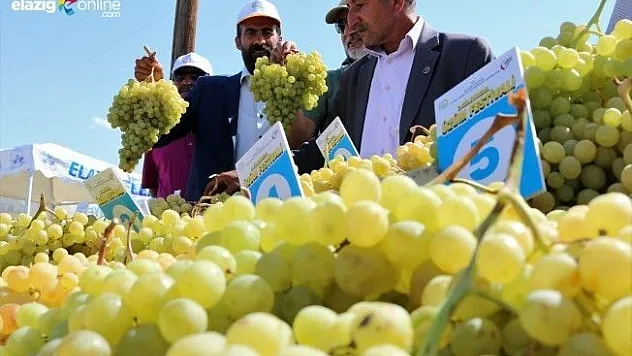 Üzümler yarıştı, birinciler çapa makinesi kazandı