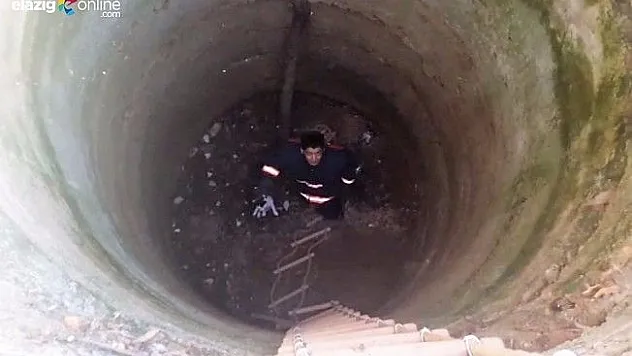 10 metrelik kuyuya düşen kedi kurtarıldı