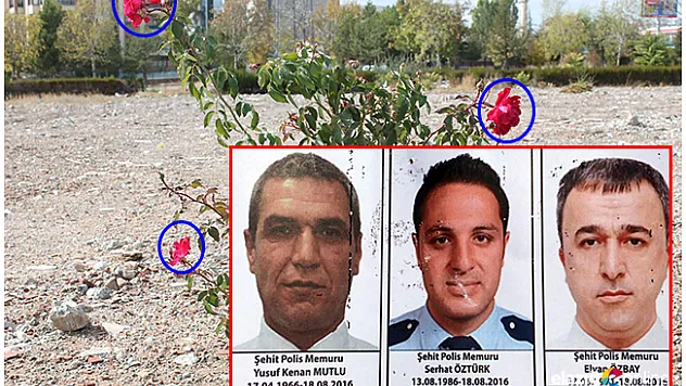 3 şehit verilen yerde 3 gül açtı..