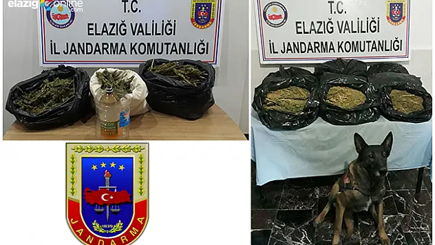 Elazığ'da Esrar Operasyonu!