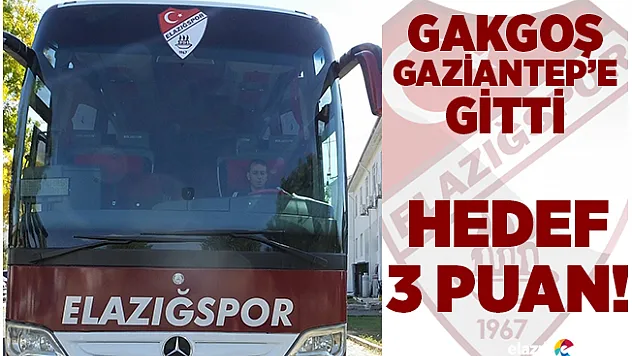 Gakgoş, Antep'e 3 Puana Gitti!