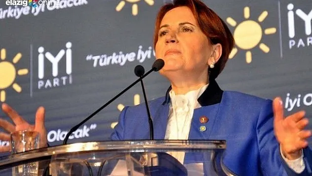 Meral Akşener'in Partisinde Elazığlı Kimler Var?