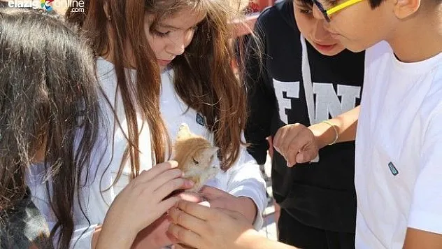 Minikler, hayvanları unutmadı