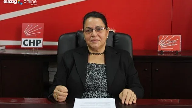 Şenocak: Yasa tasarısı ayrımcılık çıkaracaktır