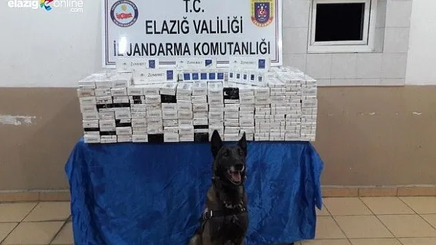 5bin Paket Kaçak Sigara!