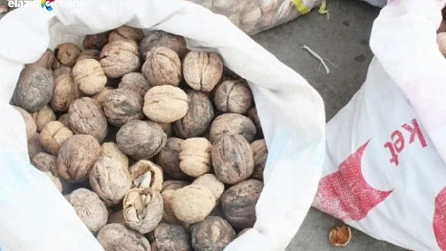 Ceviz satıcıları: Fiyatlar aynı ama işler aynı değil!