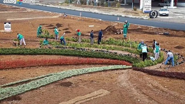Elazığ'da 106 bin ağaç toprakla buluşuyor