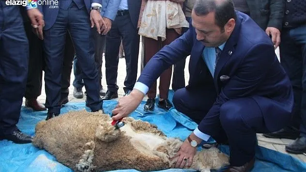 Elazığ'da &quotYaylaların Berberi&quot Projesi