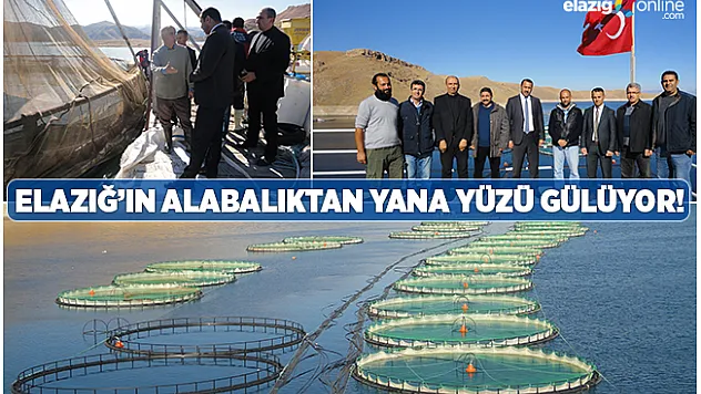 Elazığ'dan 6,5 milyon euroluk alabalık ihracatı!