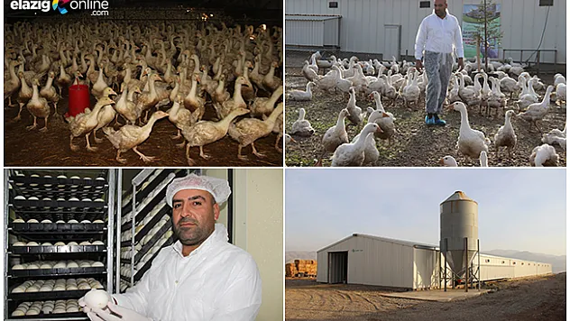 Erdoğan'ın çağrısıyla yatırımı Almanya yerine Elazığ'a yaptı