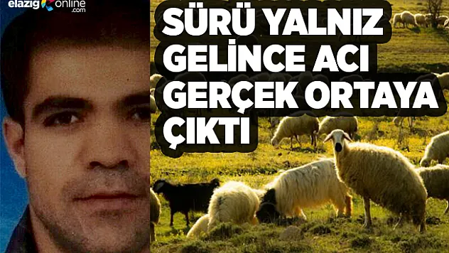 Hayvanları otlatmaya giden köylü ölü bulundu