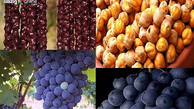 Vali Gakgoyla Elazığ Markalaşıyor