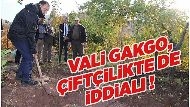 Vali Gakgo, Çiftçilikte de İddialı!