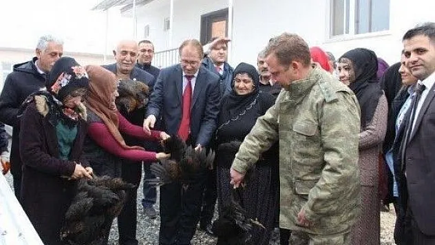 5 kadın, Kaymakamlık desteği ile yumurta tavukçuluğuna başladı