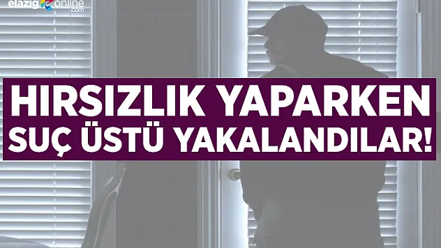 Elazığ'da suç üstü yakalanan 2 hırsız tutuklandı
