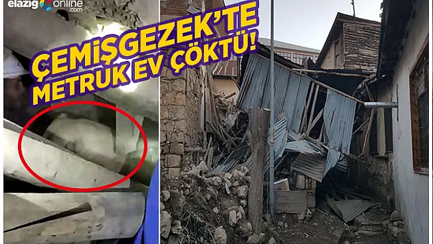 Göçük altında kalan köpek, polis ve işçiler tarafından kurtarıldı