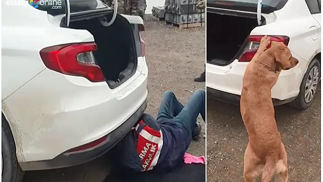 Gülüşkür'de Zuladaki Esrarı 'Cesur' Buldu!