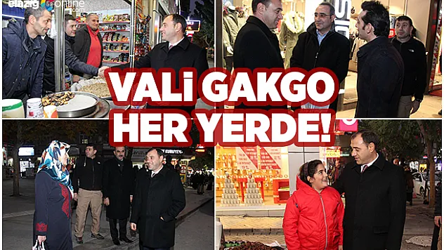 Vali Gakgo, bürokratlara da siyasilere de yol gösteriyor!