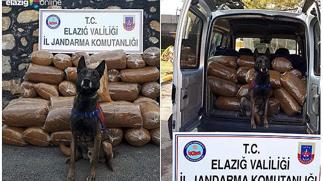 250 KG Tütüne Büyük Ceza!
