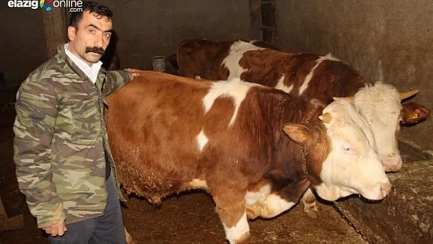 'Ayyıldız'a 50 bin lira verdiler satmadı