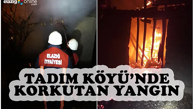 Bahçede Çıkan Yangın Eve Sıçradı!