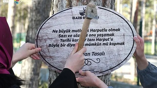 Edebi Yazıların Olduğu Tabelaları Mesire Alanına Asıyorlar