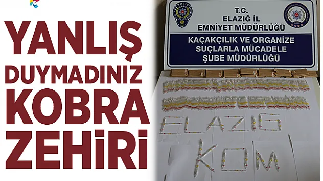 Elazığ'da 280 Tüp Kobra Zehiri Ele Geçirildi!