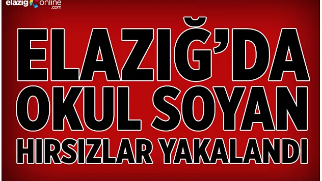 Elazığ'da okul soyan 2 hırsız tutuklandı