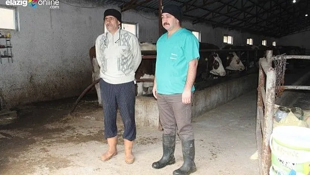 Harvard Teknolojisi Çemişgezek'te Uygulanıyor