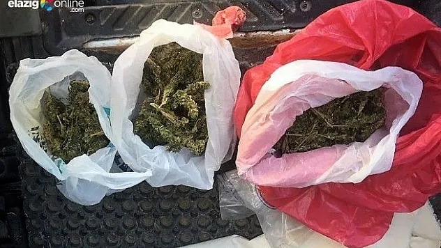 Mutfak rafı ve toprak altında esrar ele geçirildi